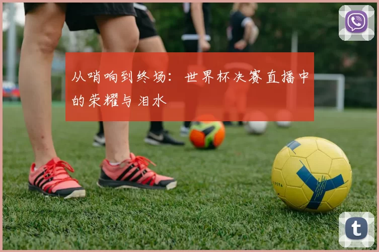从哨响到终场:世界杯决赛直播中的荣耀与泪水
