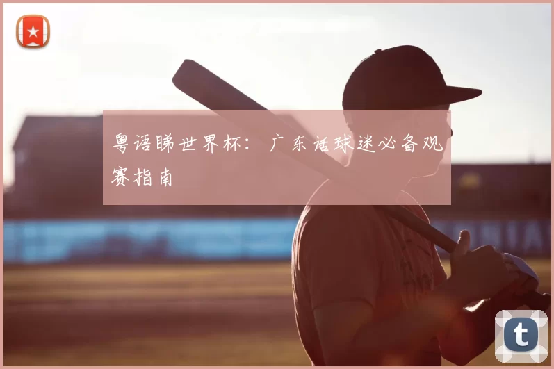 粤语睇世界杯：广东话球迷必备观赛指南
