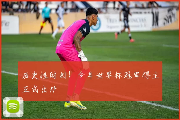 历史性时刻！今年世界杯冠军得主正式出炉