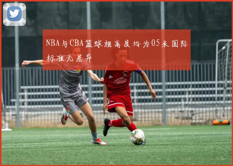 NBA与CBA篮球框高度均为05米国际标准无差异