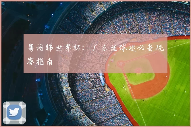 粤语睇世界杯:广东话球迷必备观赛指南