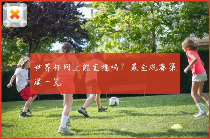 世界杯网上能直播吗？最全观赛渠道一览